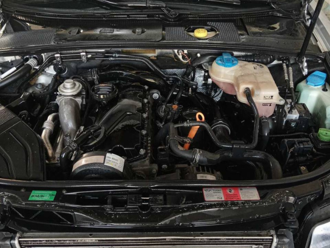 Pranje motora Audi - Pre i Posle - Tepih Servis Živanović
