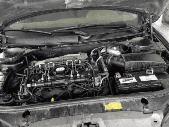 Pranje motora na Ford - Pre i Posle - Tepih Servis Živanović