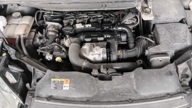 Pranje motora - Tepih Servis Živanović