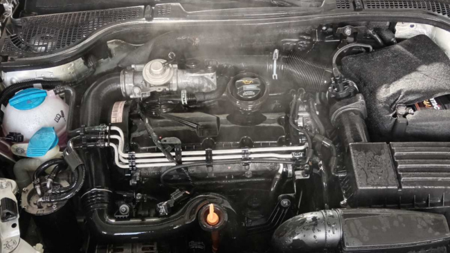 Pranje motora - Tepih Servis Živanović