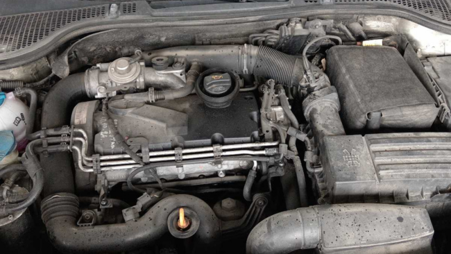 Pranje motora - Tepih Servis Živanović