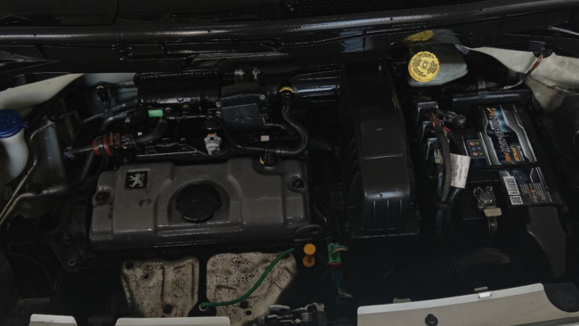 Pranje motora - Tepih Servis Živanović