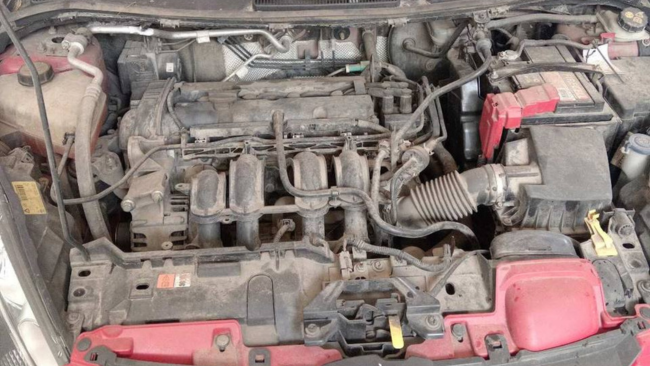 Pranje motora - Tepih Servis Živanović